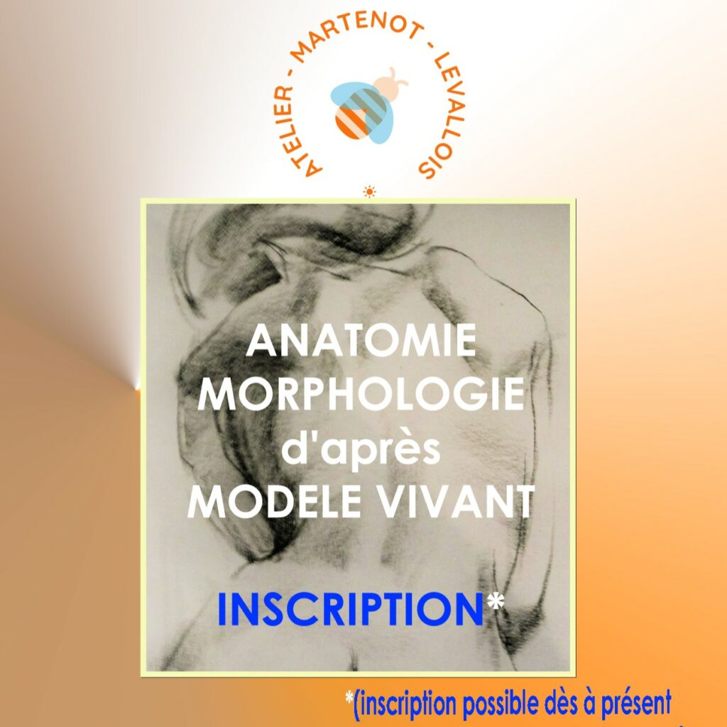 Atelier Dessin Anatomie artistique et modèle vivant